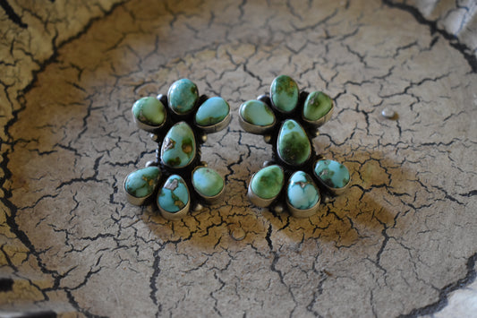 Sonoran Studs